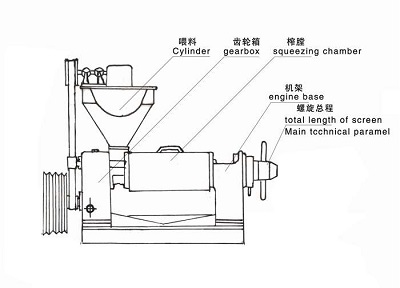 雙象榨油機結(jié)構(gòu) 雙象榨油機結(jié)構(gòu)